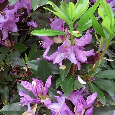 Quinta Do Vale Do Monte Gospodarstwo wiejskie