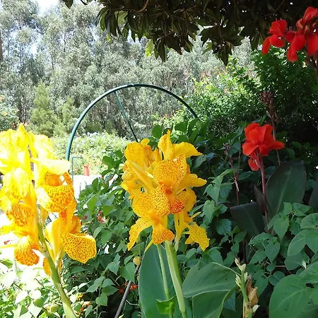 Quinta Do Vale Do Monte Viana do Castelo