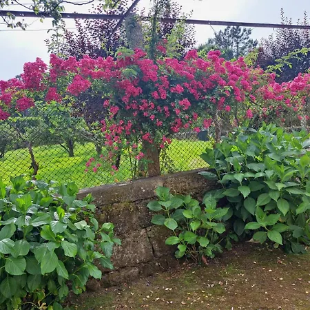 Quinta Do Vale Do Monte * Viana do Castelo