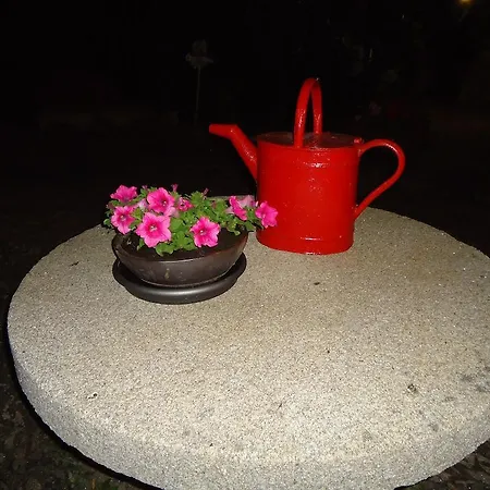 Gospodarstwo wiejskie Quinta Do Vale Do Monte Viana do Castelo