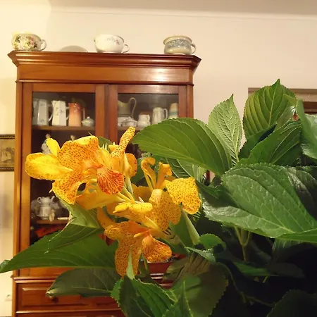 Quinta Do Vale Do Monte Gospodarstwo wiejskie *