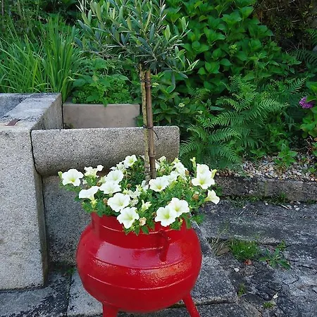 Quinta Do Vale Do Monte Viana do Castelo