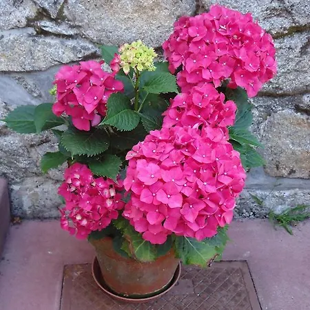 Quinta Do Vale Do Monte *