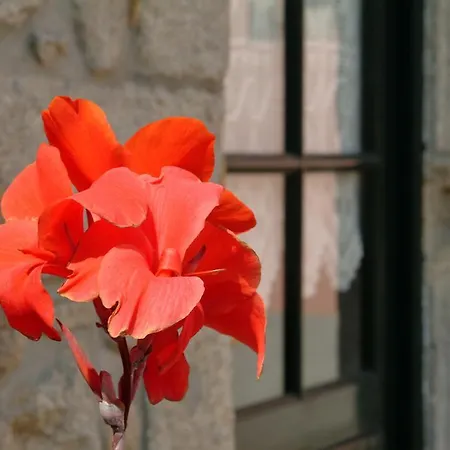 Quinta Do Vale Do Monte Country house *