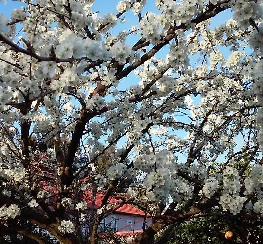 Quinta Do Vale Do Monte Hétvégi ház