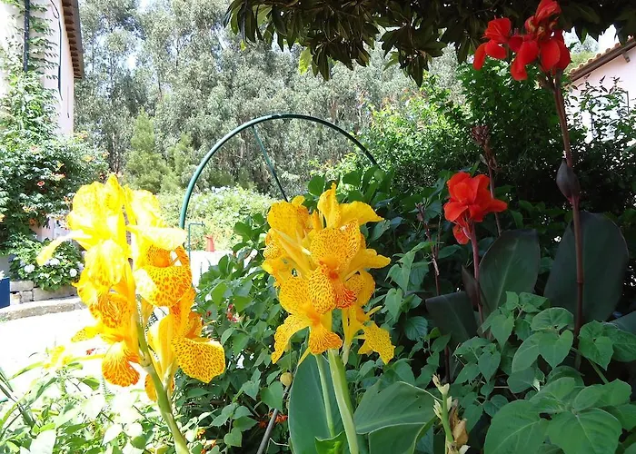 Quinta Do Vale Do Monte Viana do Castelo