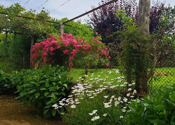 Quinta Do Vale Do Monte Hétvégi ház Viana do Castelo