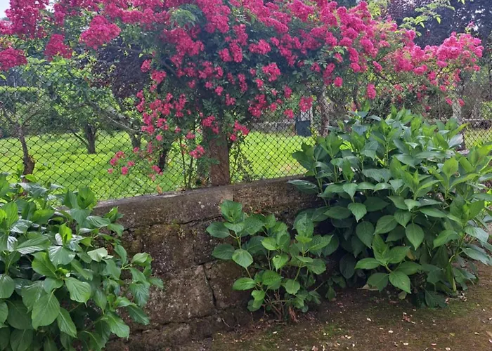 Quinta Do Vale Do Monte