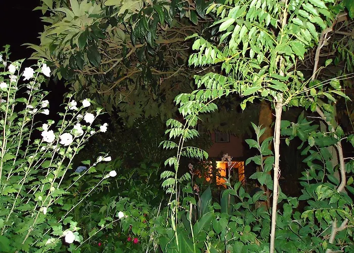 Quinta Do Vale Do Monte *