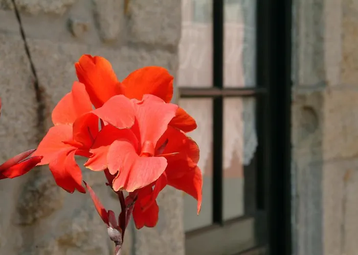 Quinta Do Vale Do Monte Hétvégi ház *