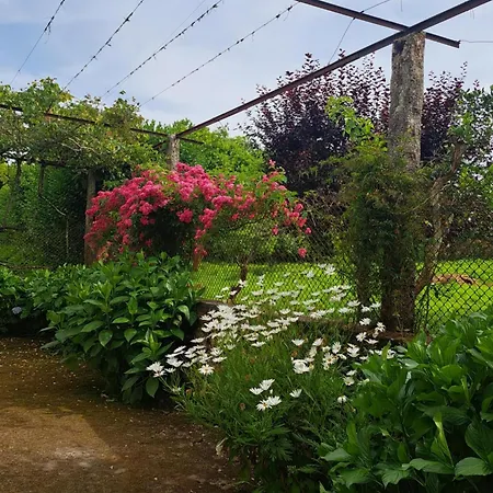 Quinta Do Vale Do Monte Casa rural Viana do Castelo