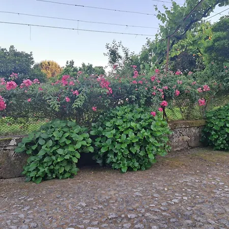 Quinta Do Vale Do Monte Viana do Castelo