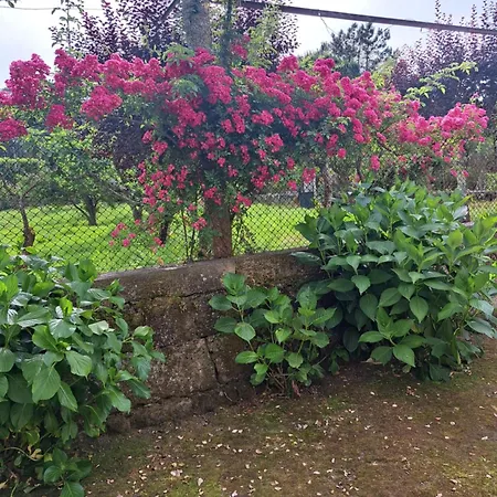 Quinta Do Vale Do Monte