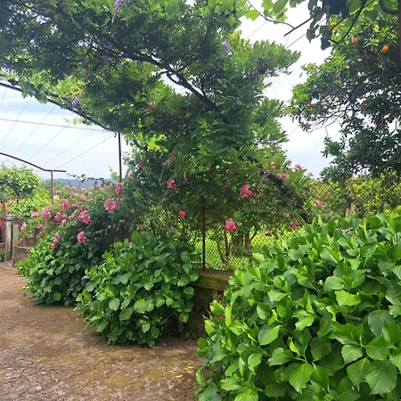 Casa de Campo Quinta Do Vale Do Monte