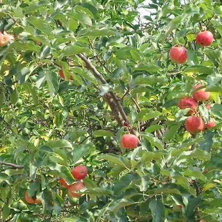 Quinta Do Vale Do Monte Casa di campagna