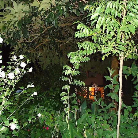 Quinta Do Vale Do Monte *