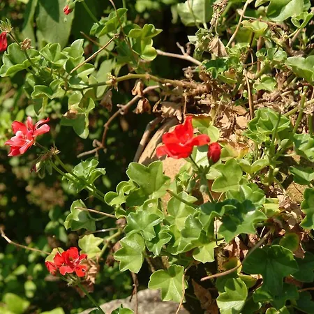 Quinta Do Vale Do Monte