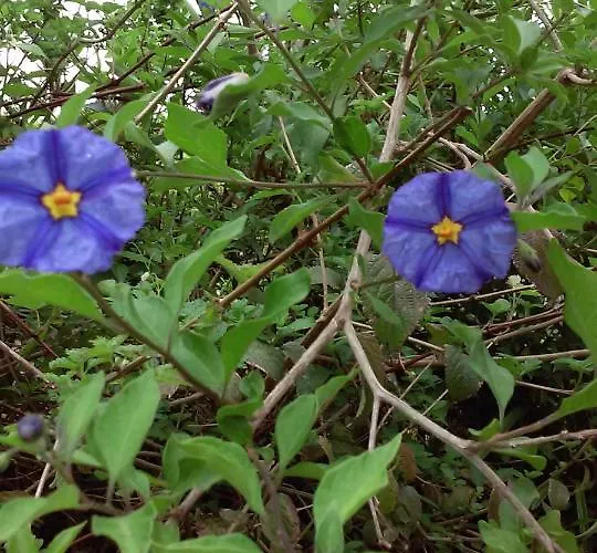 Quinta Do Vale Do Monte *