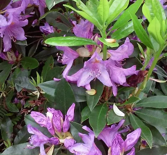 Quinta Do Vale Do Monte Casa rural