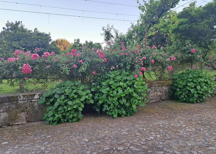 Quinta Do Vale Do Monte Viana do Castelo