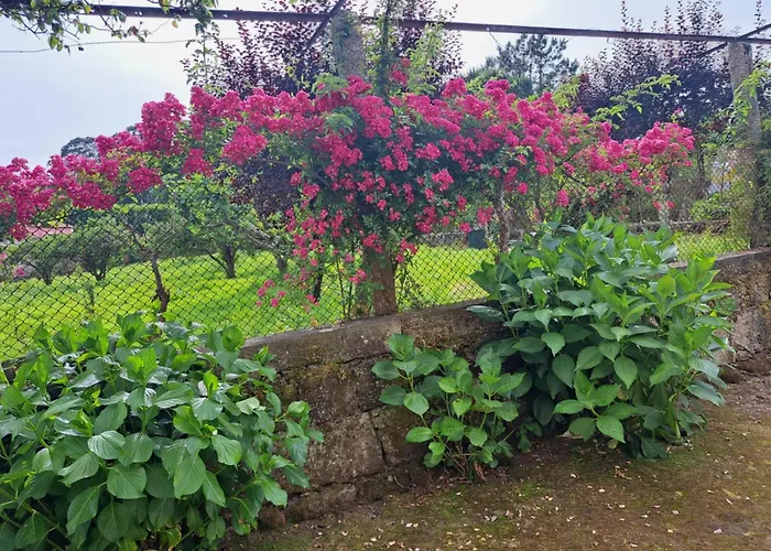 Quinta Do Vale Do Monte * Виана-ду-Каштелу