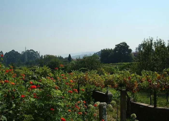 Quinta Do Vale Do Monte Летний дом