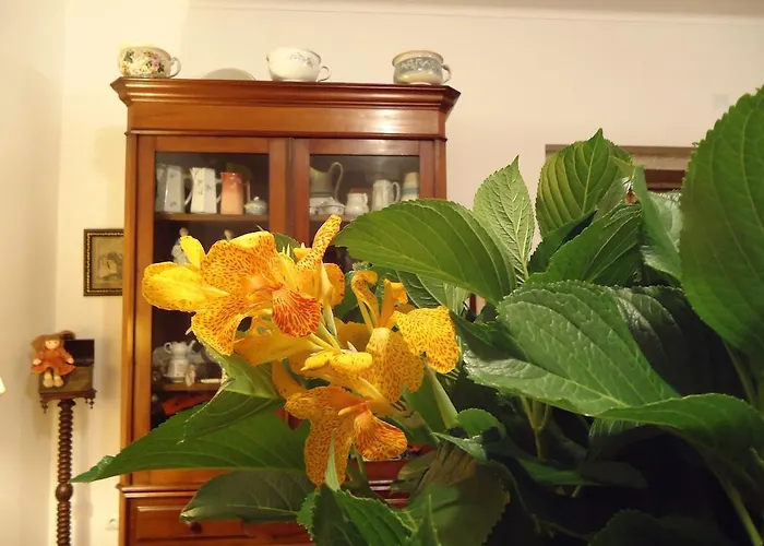 Quinta Do Vale Do Monte Casa rural *