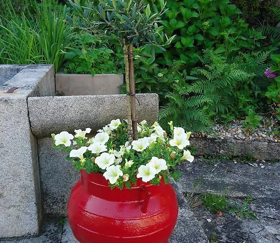 Quinta Do Vale Do Monte Виана-ду-Каштелу