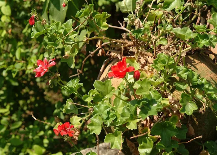 Quinta Do Vale Do Monte